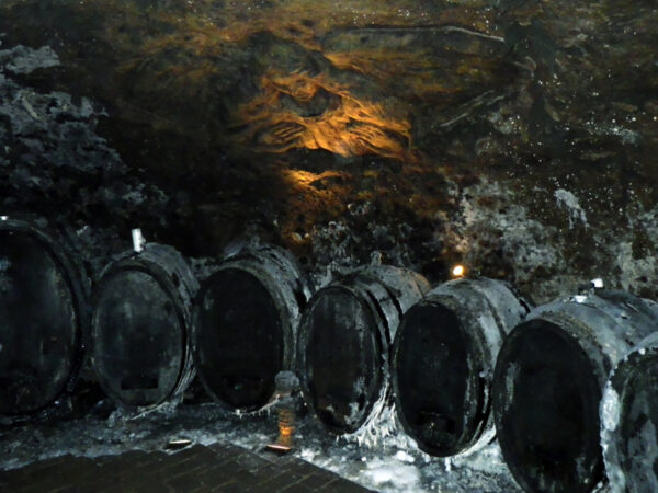 DEGUSTAZIONI VINO - TOKAJ