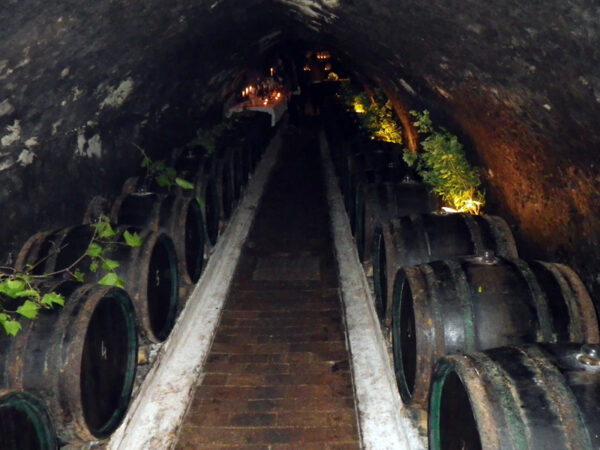 DEGUSTAZIONI VINO - TOKAJ - immagine 4