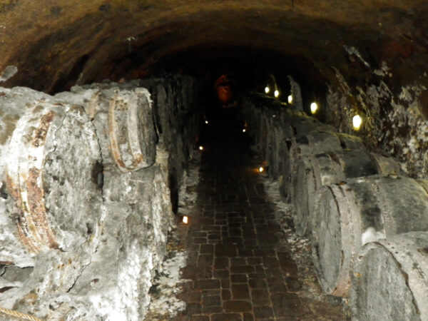 DEGUSTAZIONI VINO - TOKAJ - immagine 7